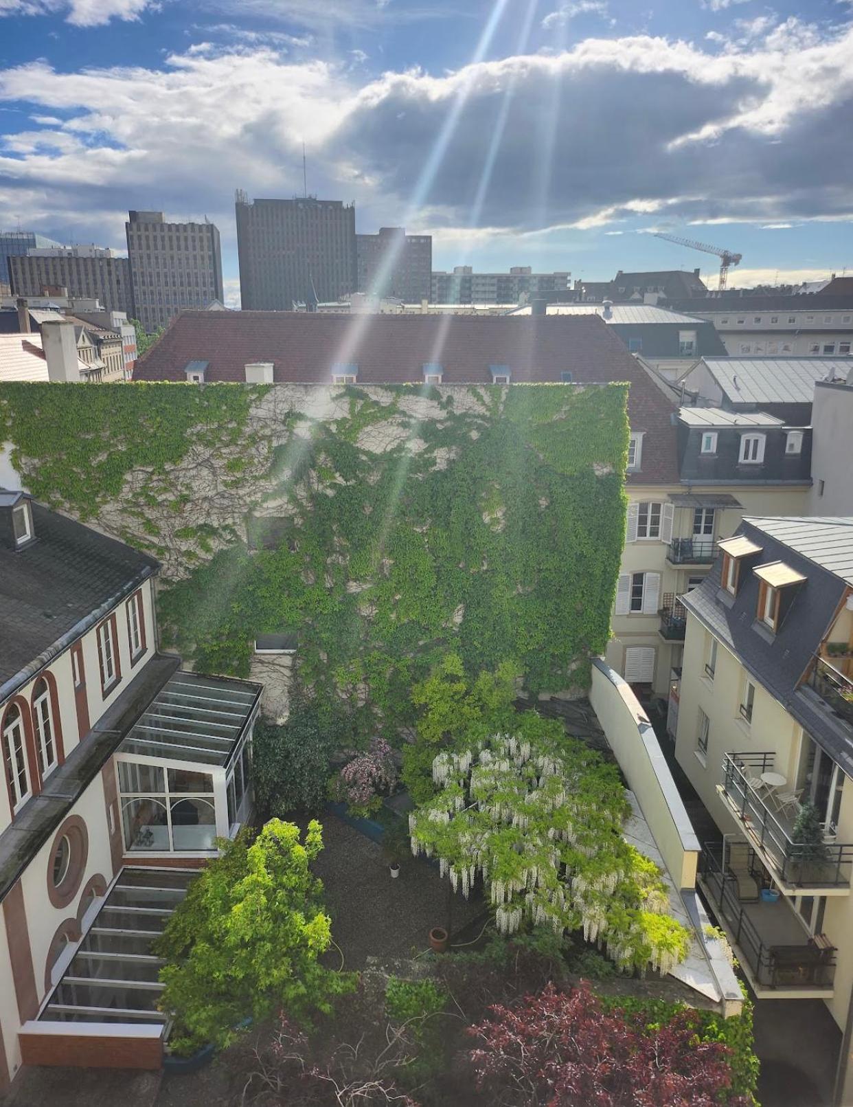Appartement Centre Proche Gare Strasbourg